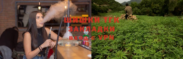 тгк Аркадак